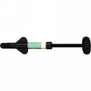 Harmonize Syringe Enamel C4 4gm