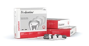 SEPTODONT BIODENTINE REPLACEMENT MATERIAL, 01-C0605