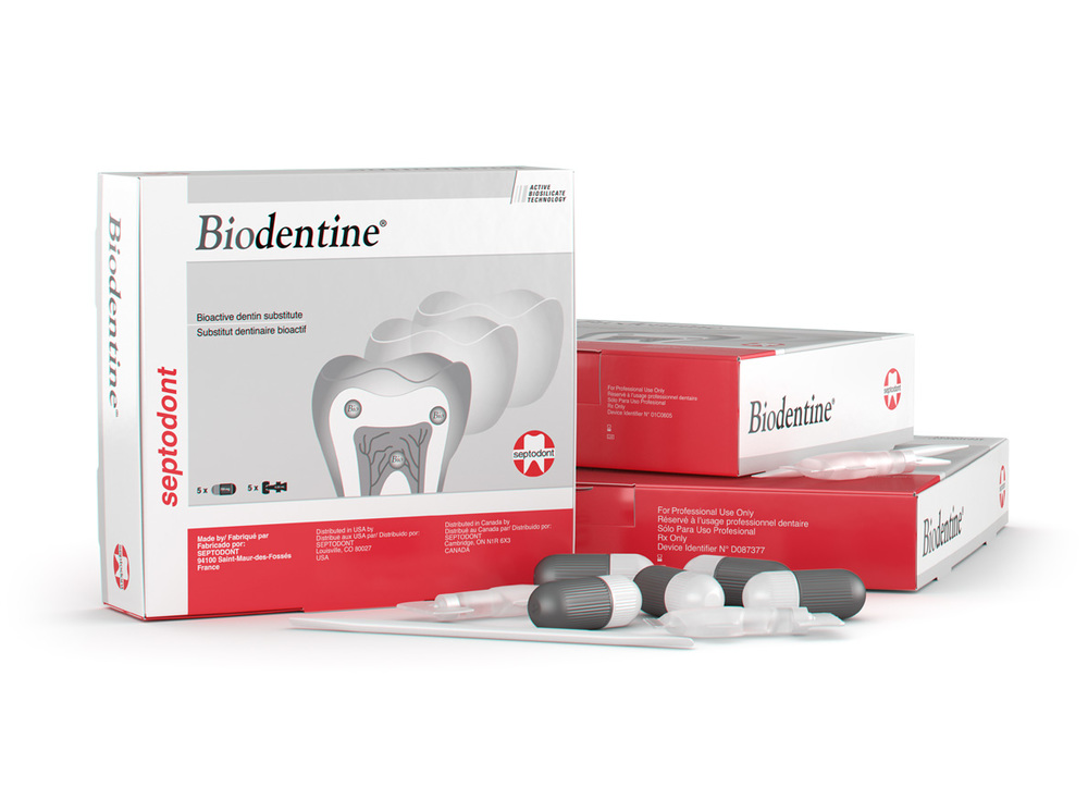 SEPTODONT BIODENTINE REPLACEMENT MATERIAL, 01-C0600