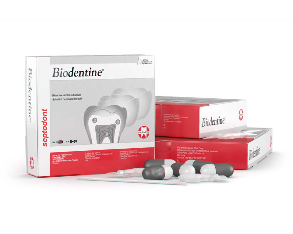 SEPTODONT BIODENTINE REPLACEMENT MATERIAL, 01-C0605