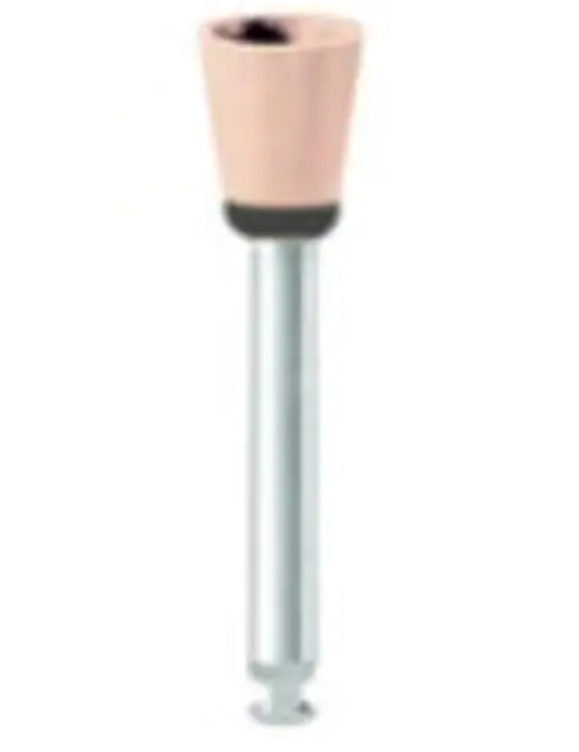 WDT-RP230393RA